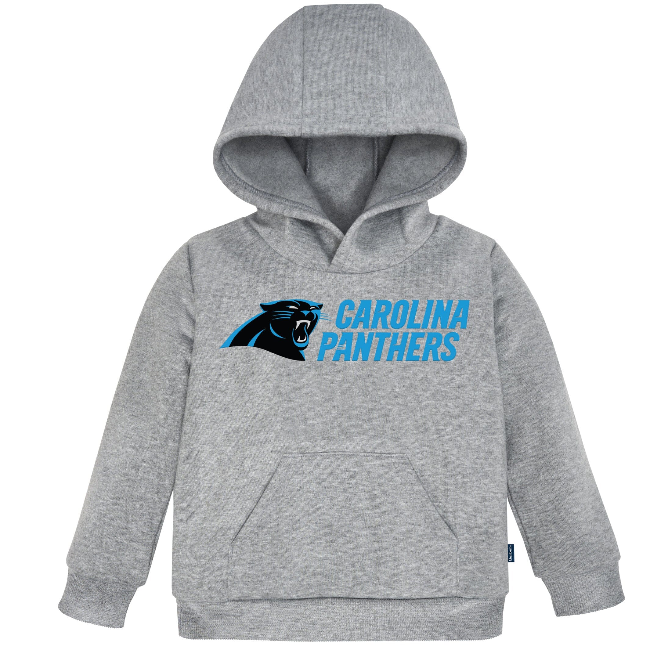 Toddler Boys Carolina Panthers Gray NFL Football Long Sleeve 3t