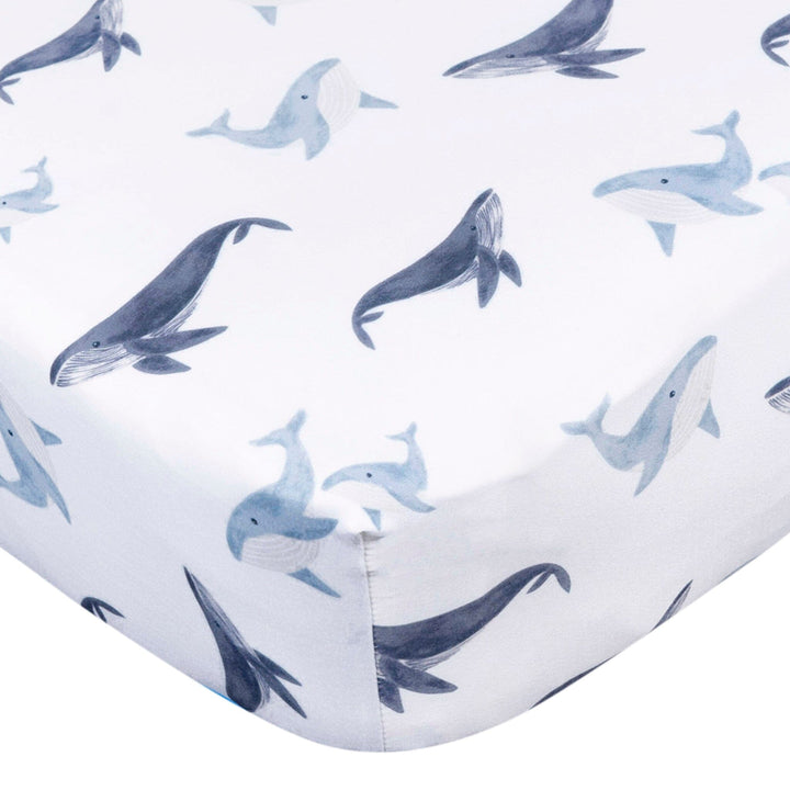 2-Pack Baby & Toddlerboys Coastal Calm Crib Sheet