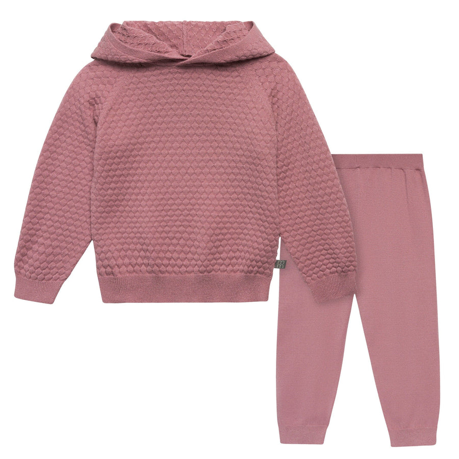 2-Piece Infant & Toddler Girls Rose Sweater Knit Hoodie Set