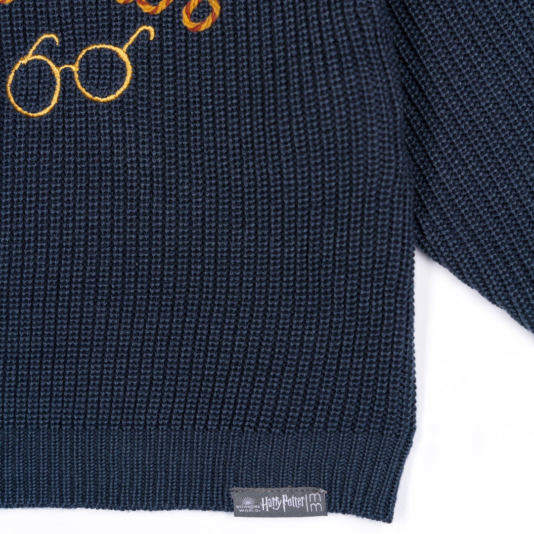 Infant and Toddler Neutral Navy Sweater