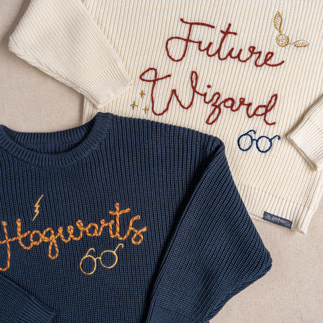 Infant and Toddler Neutral Navy Sweater