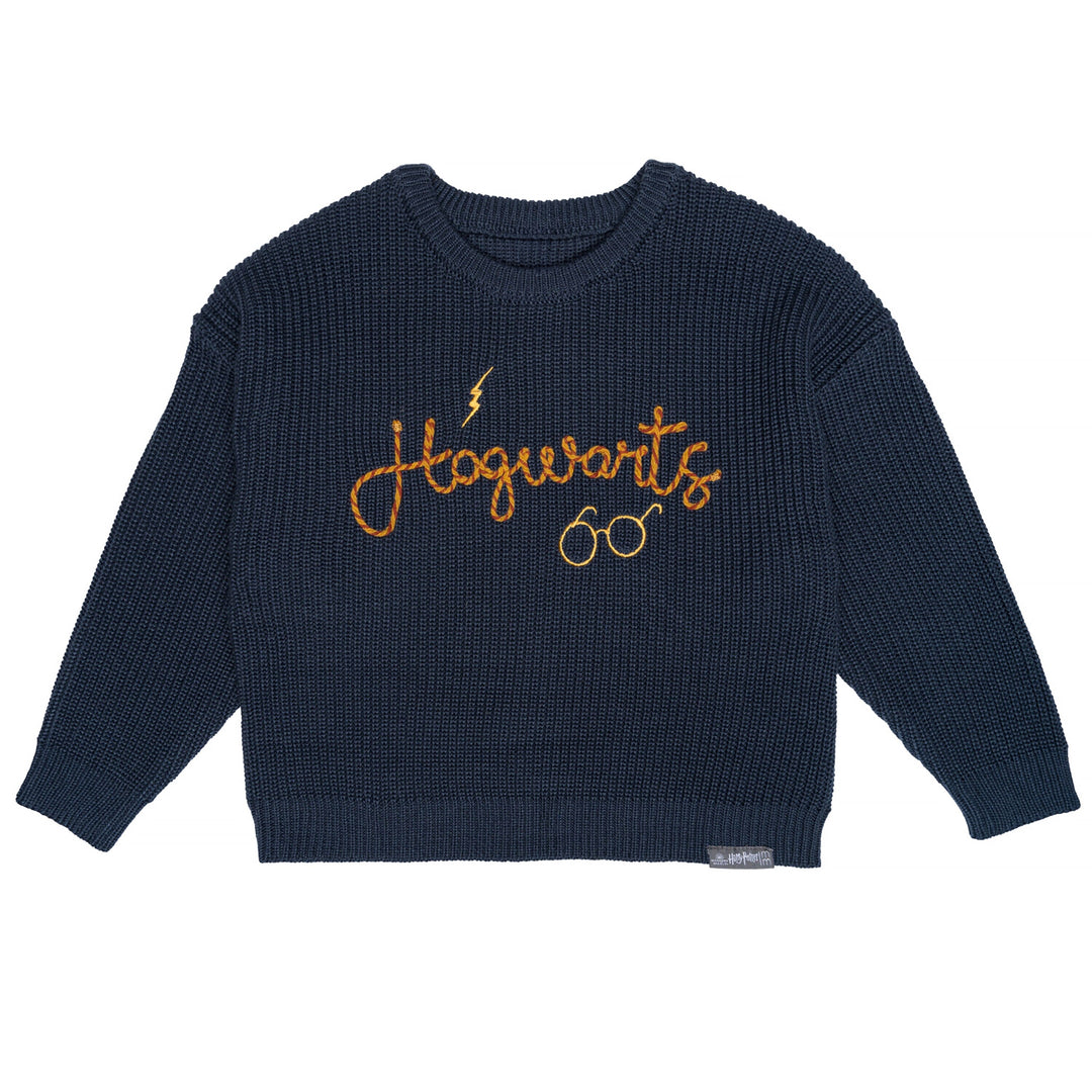 Infant and Toddler Neutral Navy Sweater