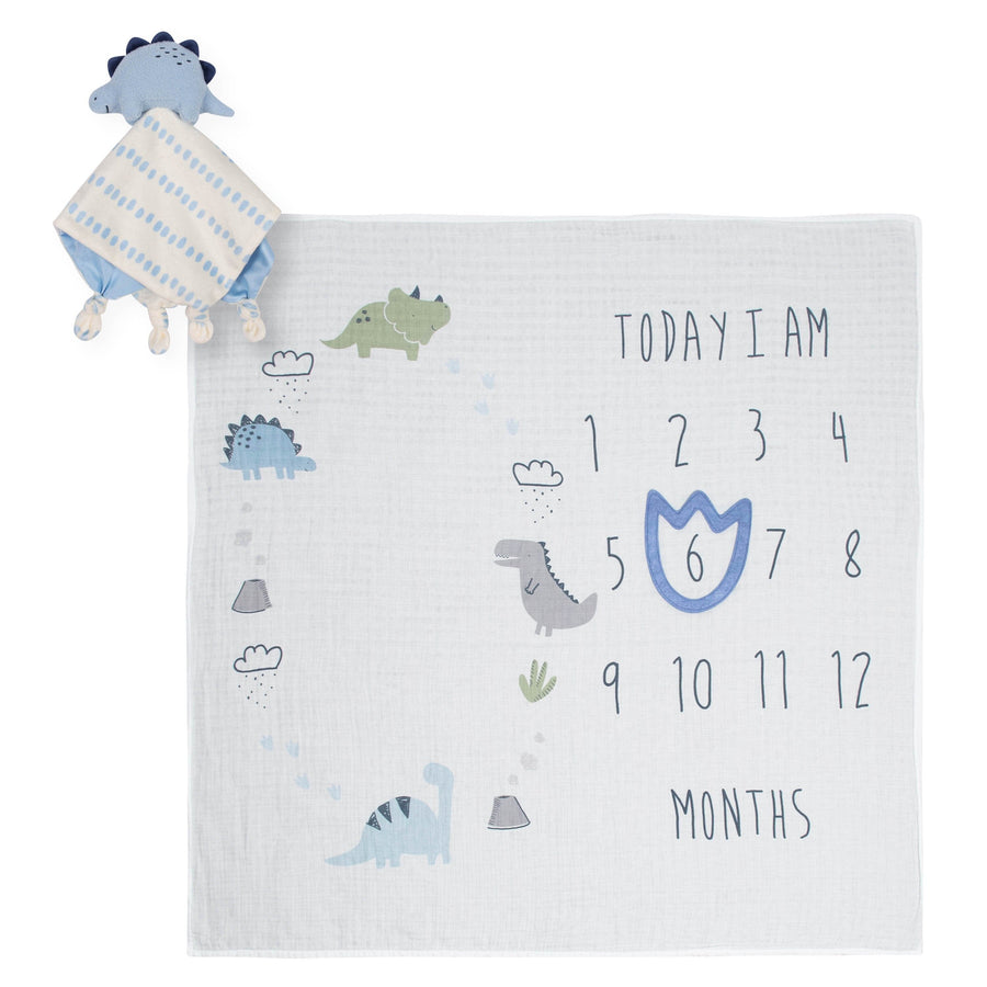 Gerber Baby Boys 2-Piece Dinosaur Monthly Milestone and Security Blanket Set